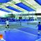 Thi Công Mái Bạt Xếp Sân Pickleball Tại Nghệ An – Giải Pháp Tiện Ích Và Hiện Đại